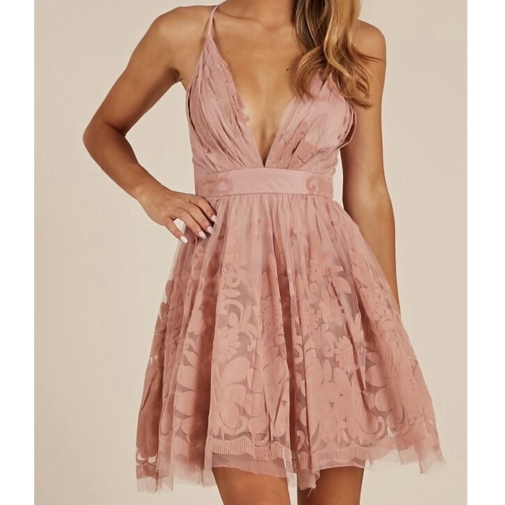 Romantic Muted Blush Tulle/Velvet Lace Mini Dress